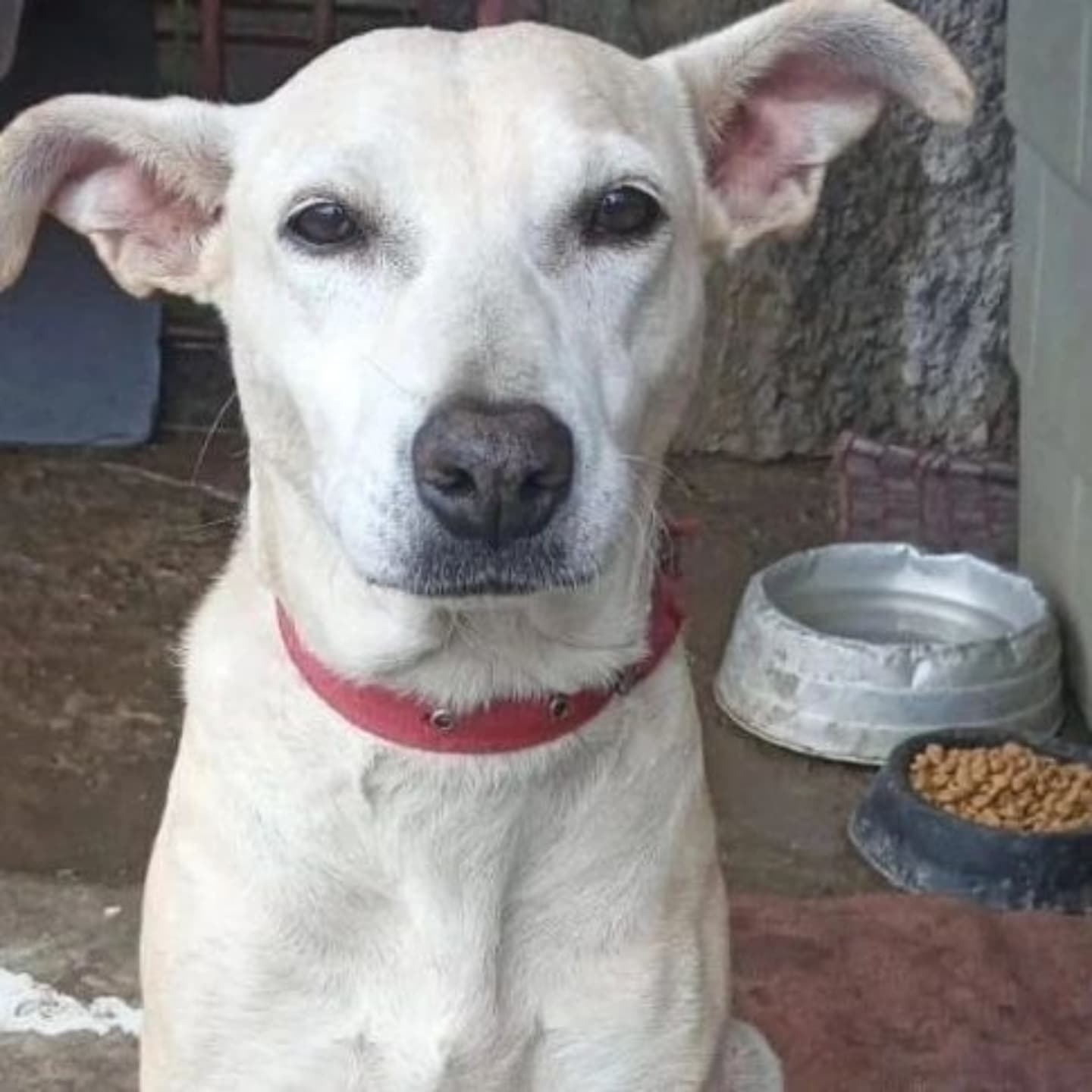 Foto da Clarinha